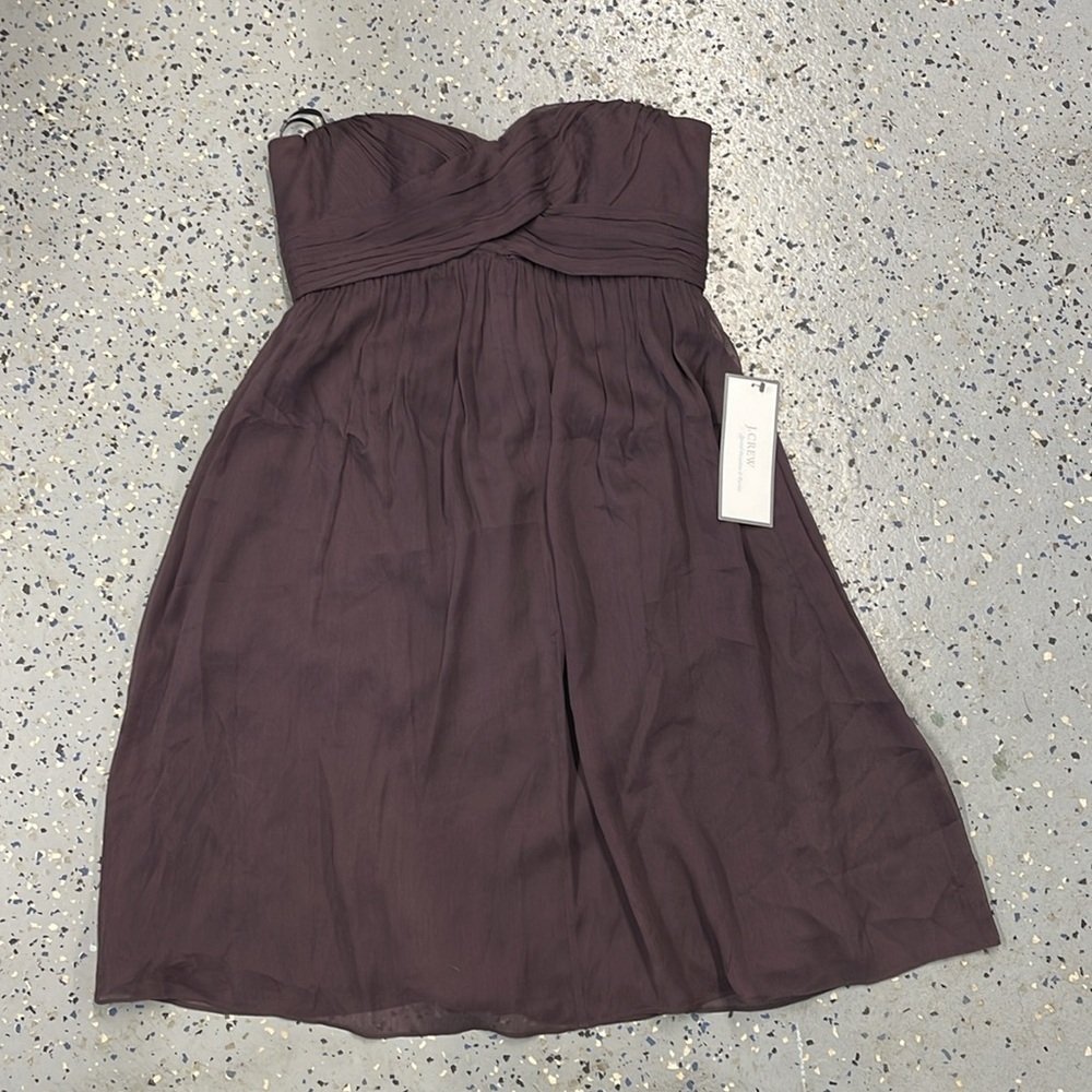 NWT J. Crew Taryn 100% Silk Chiffon Mini Dress Size 4
